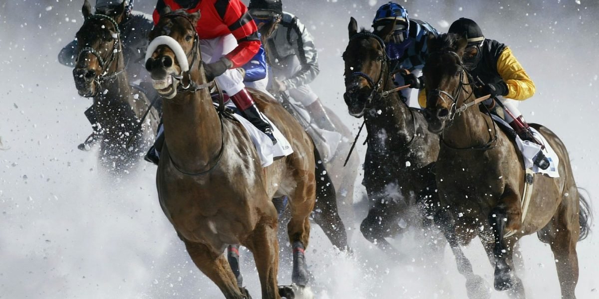 역배당 선호 편향(Favorite-Longshot Bias): 우리가 언더독을 과대평가하는 이유